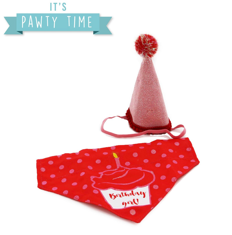 Ancol Birthday Bandana and Hat Pink