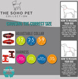 SOHO Daisy Patterned Collar Size 1-2