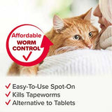 Beaphar WORMclear Spot-On for Cats - Clearway Pets