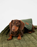 Joules Olive Bee Blanket 100x70cm - Clearway Pets