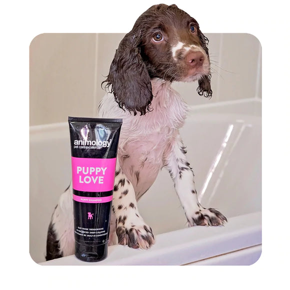 Shampoos for dogs