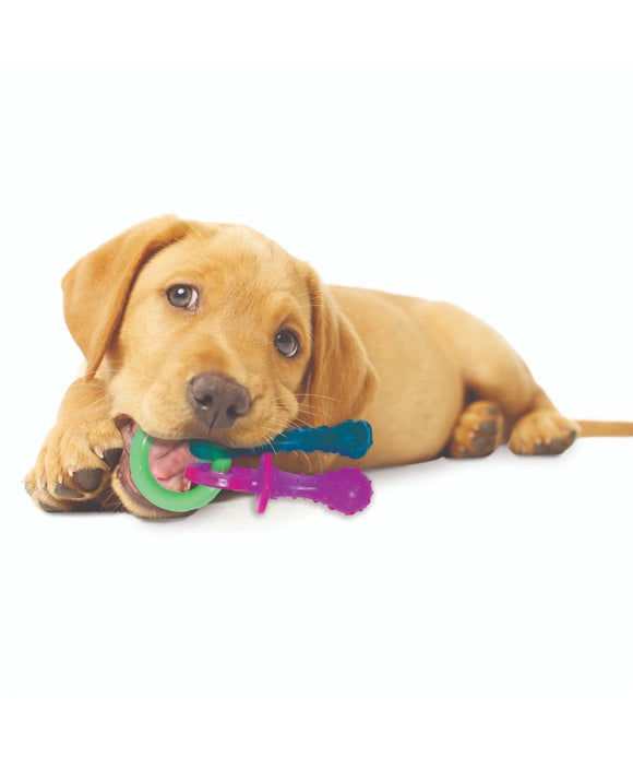 Chew Toys