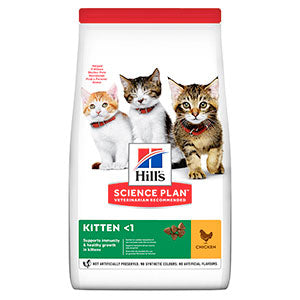 Dry Kitten Food