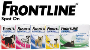 Frontline