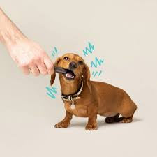 Dental Treats for Dogs