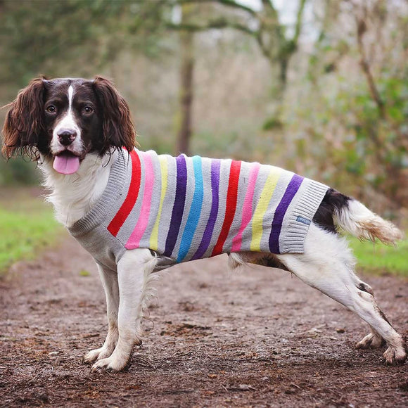 Dog Jumpers