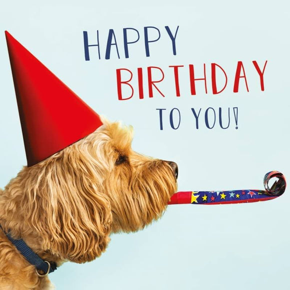 Birthday Time!