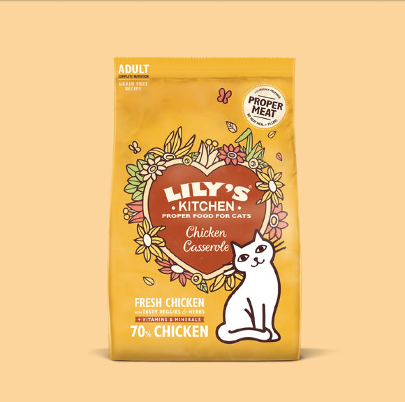 Dry Adult Cat