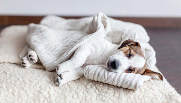 Blankets
