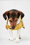 Joules Raincoat Mustard Large 56cm