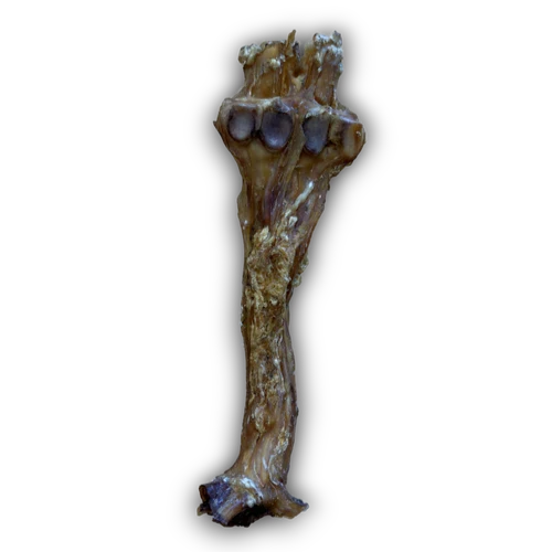 Anco Beef Tendon with Bone