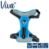 Viva Travel Harness Blue S 35-45cm