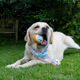 Ancol Pawty Tennis Balls (3pcs)