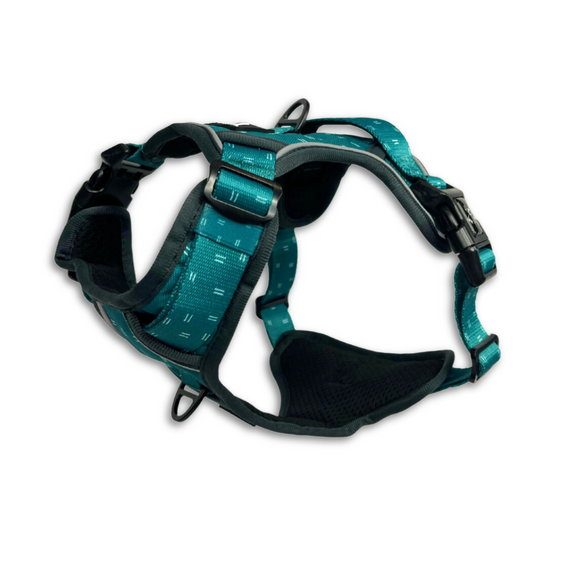 Twiggy Tags Adventure Harness Size 1 - Tranquil