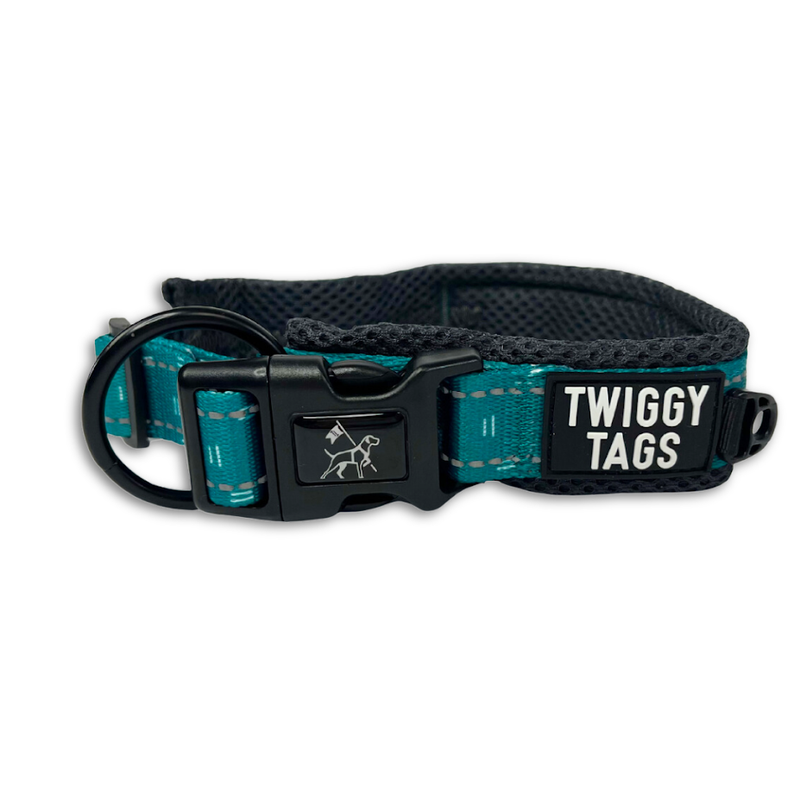 Twiggy Tags Adventure Collar Size 4 - Tranquil
