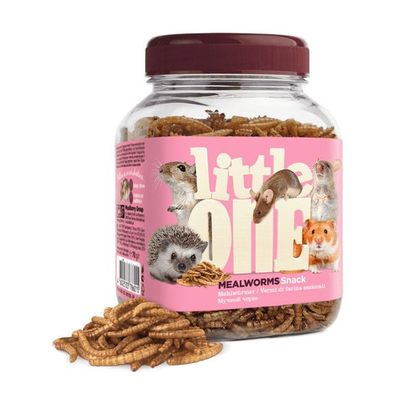 Little One Mealworms Snack for Omnivores