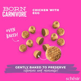 Schesir Dry Born Carnivore Chicken & Egg Baby 1.25Kg