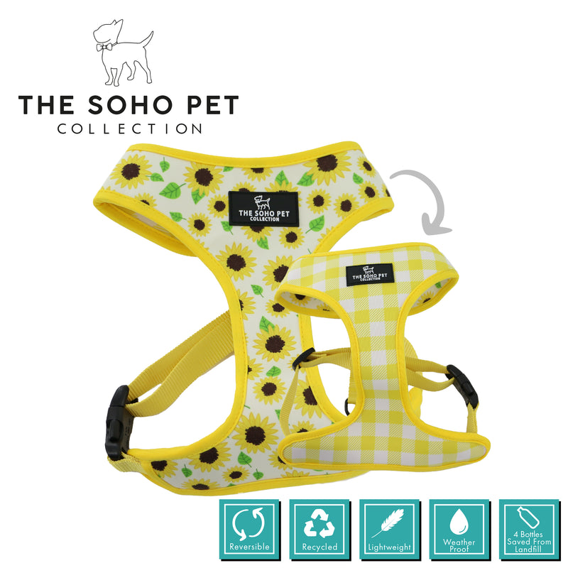 SOHO Sunflower/Yellow Check Harness XS