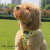 SOHO Sunflower/Yellow Check Harness XS