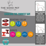 SOHO Dino/Ice Cream Patterned Harness S