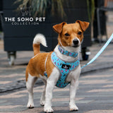 SOHO Dino/Ice Cream Patterned Harness S