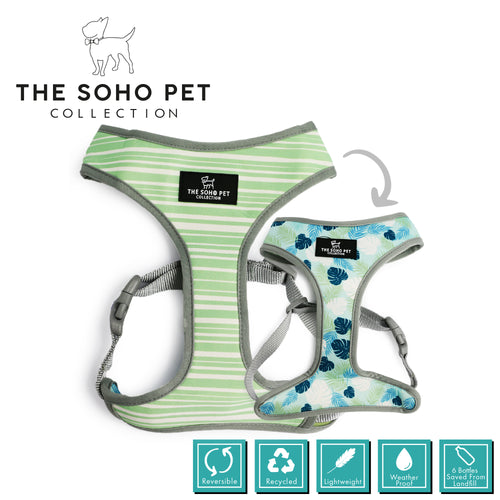 SOHO Stripe/Leaf Patterned Harness M