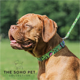 SOHO Dino Patterned Collar S