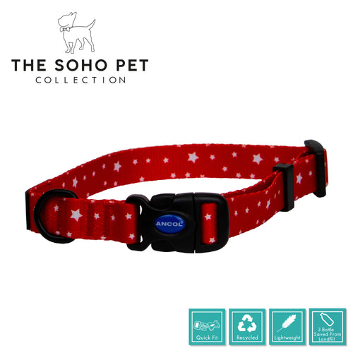 SOHO Star Patterned Collar L