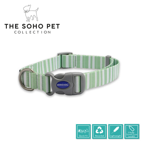 SOHO Stripe Patterned Collar L