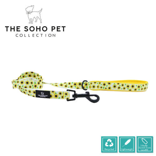 SOHO Sunflower Lead