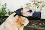 Mikki Nylon Fabric Muzzle Size 8