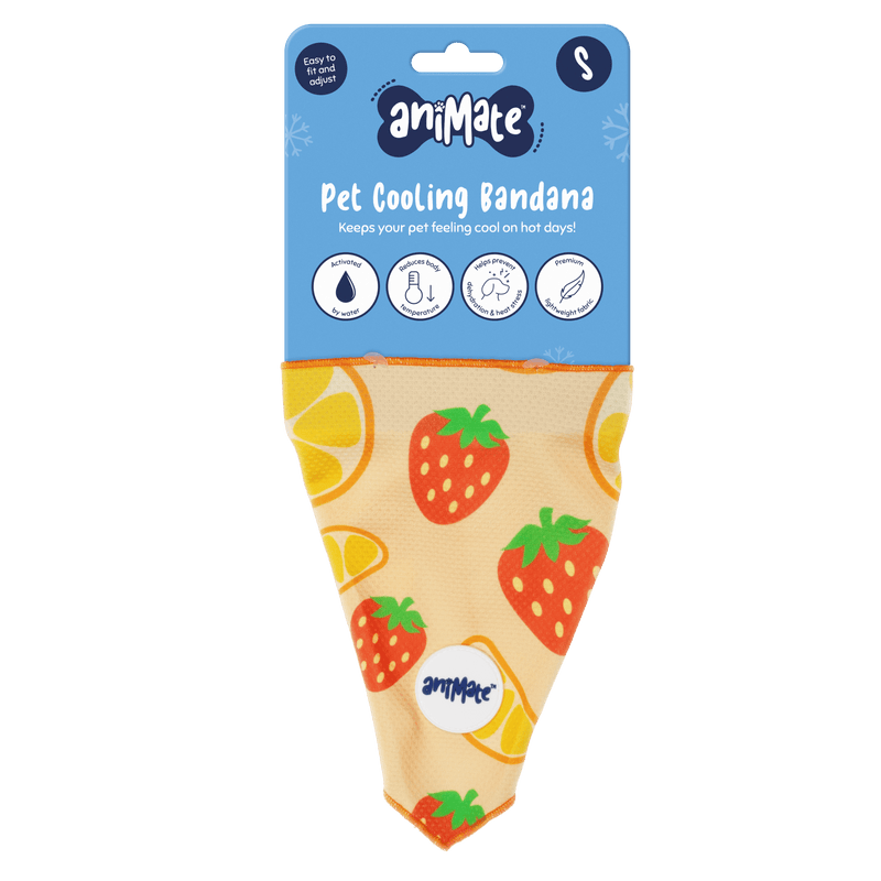 Animate Fruit Bandana Small