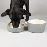 Scruffs Classic Slow Feeder Pet Bowl 20cm