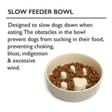Scruffs Classic Slow Feeder Pet Bowl 20cm