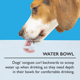 Scruffs Classic Slow Feeder Pet Bowl 20cm