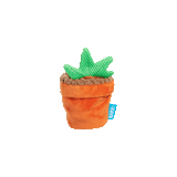 Bark Harry Potter Mandrake
