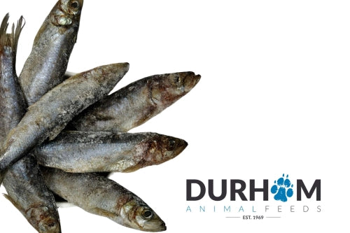 Durham Mackerel - 1kg