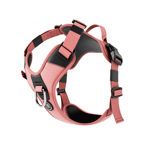 Bully Billows Hurricane Harness