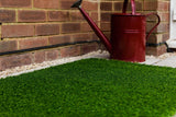 Pet Rebellion Toilet Turf