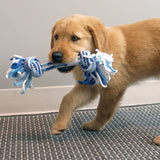 KONG Rope Ring Puppy Assorted Medium