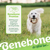 Benebone Ring Medium
