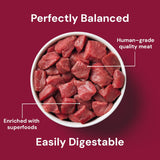 Nutriment Cat Beef 500g