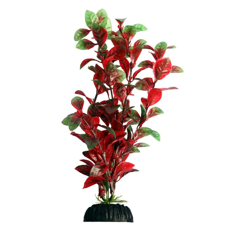 AquaOne Ecoscape Medium Hygro Red 20cm