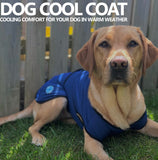 ANCOL Dog Cooling Coat Medium