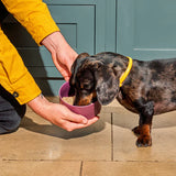 Nutriment Dog Raw Lamb Nuggets 1kg