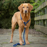 Ruff & Tumble French Navy Slip Lead