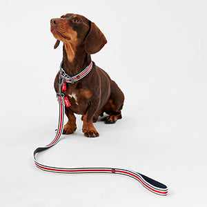 Joules Red Striped Dog Lead