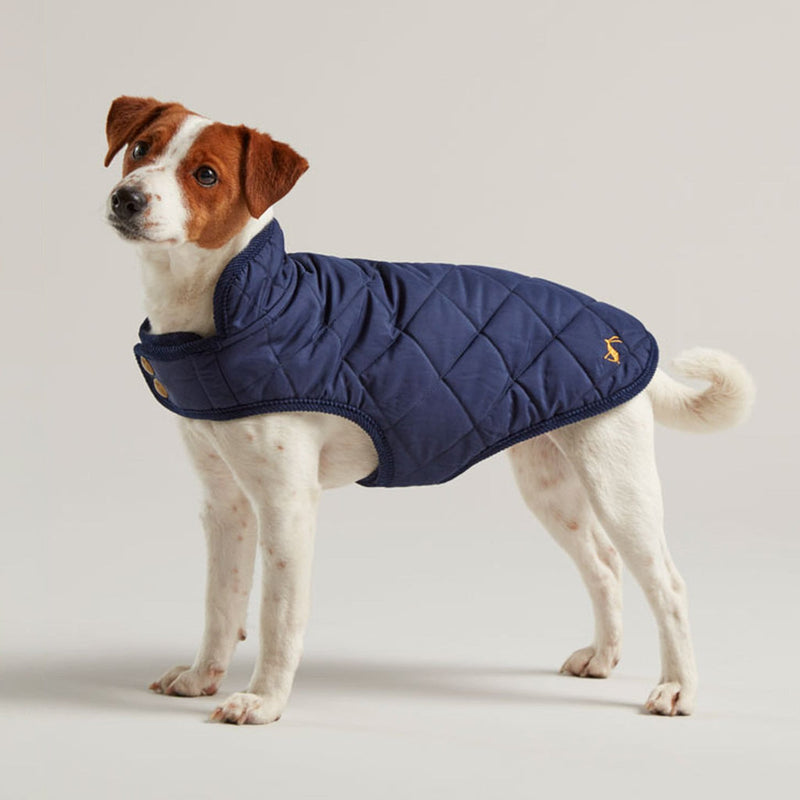 Joules Navy Blue Padded Coat - Clearway Pets