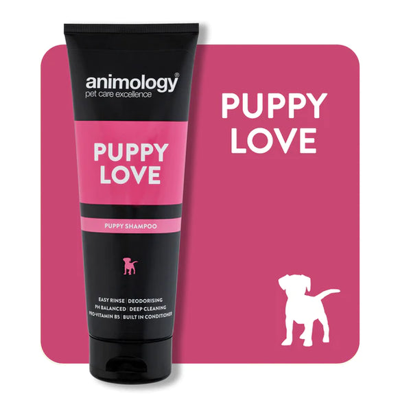 Animology Puppy Love Shampoo - Clearway Pets