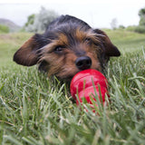 KONG Easy Treat Peanut Butter